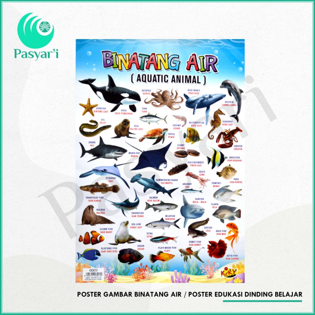 poster anak untuk tumbuh kembang mengenal angka , huruf benda, hewan dan angka dengan gambar yang menarik.